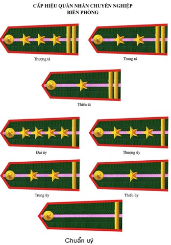 Hệ thống cấp bậc quân hàm trong Quân đội nhân dân và Công an nhân dân 