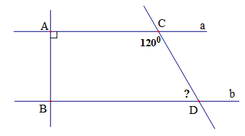 cau3