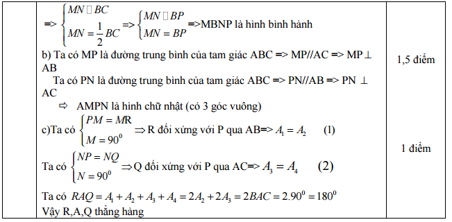 dap an bai 3b