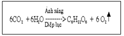 CAU14