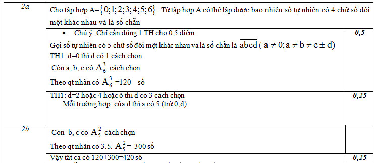 dap-an-cau-2