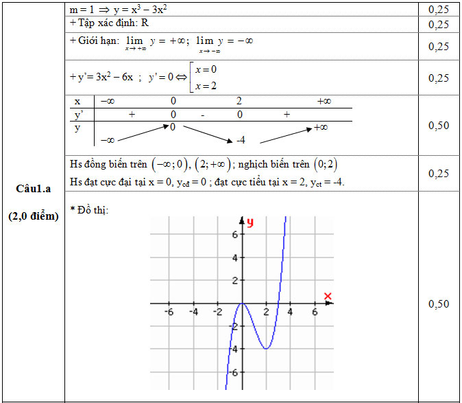 dap-an-cau-1a