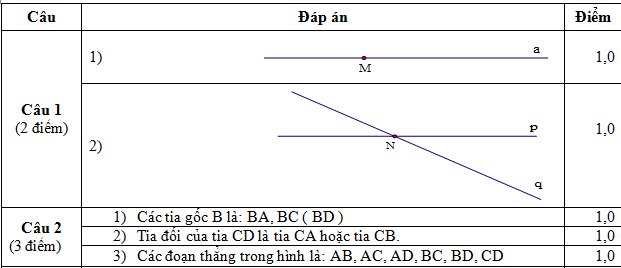 Đáp án câu 1,2 hình học