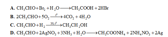 cau22