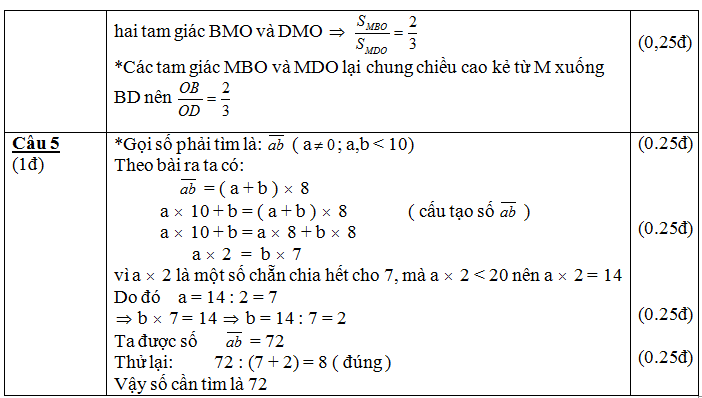 dapan-vaolopchonlop10_montoan_5