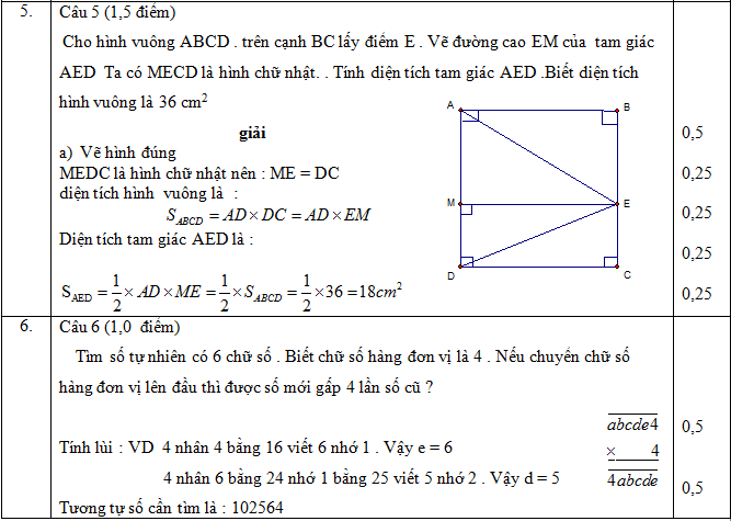 Đáp án câu 5, câu 6