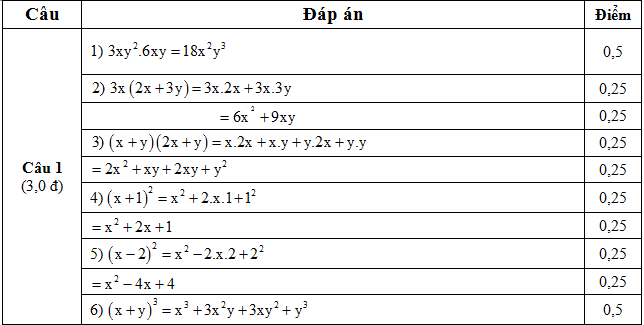 dap an cau 1