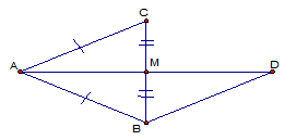 cau8_ve-hinh