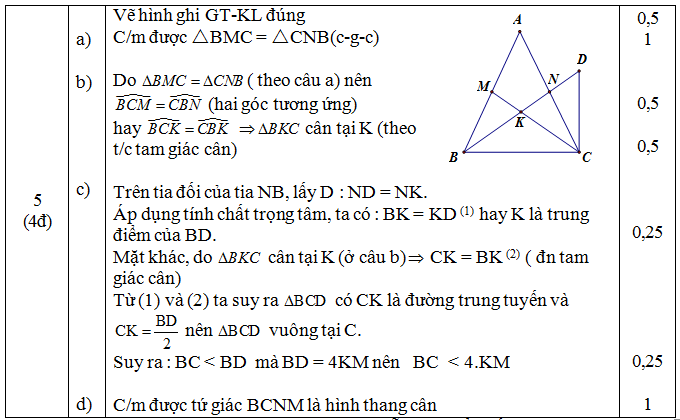 Đáp án câu 5