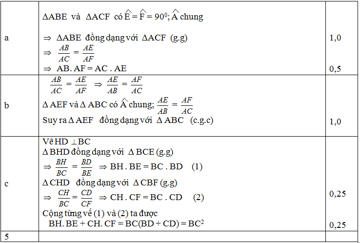 dapanKSCLDaunamlop9_de1_trang2