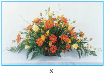 Bài thực hành: Cắm hoa dạng tỏa tròn, tự do trang 62 SGK Công nghệ 6