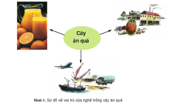Câu 1 trang 8 SGK Công Nghệ 9 - Trồng cây ăn quả