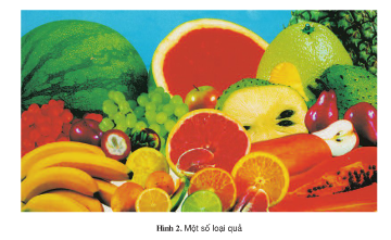 Câu 2 trang 8 SGK Công Nghệ 9 - Trồng cây ăn quả 