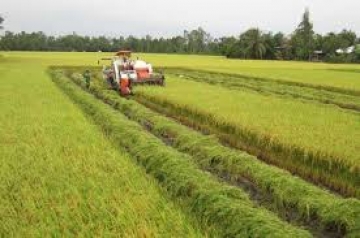 Việc sử dụng đất trong điều kiện nông nghiệp nhiệt đới cần chú ý những điều gì?