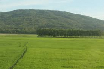 Tài nguyên đất ở Đồng bằng sông Cửu Long có thuận lợi và khó khăn như thế nào đối với việc phát triển nông nghiệp?