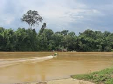Vì sao phải bảo vệ và phát triển rừng đầu nguồn, hạn chế ô nhiễm nước của các dòng sông ở Đông Nam Bộ? (trang 114, sgk)