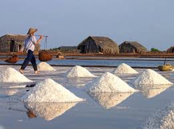 Tại sao nghề muối phát triển mạnh ở ven biển Nam Trung Bộ? (trang 140 sgk).