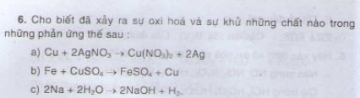 Bài 6 trang 89 sgk hoá học 10