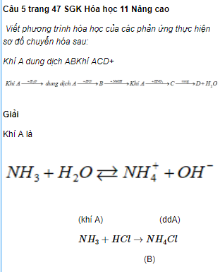 Câu 5 trang 47 SGK Hóa học 11 Nâng cao