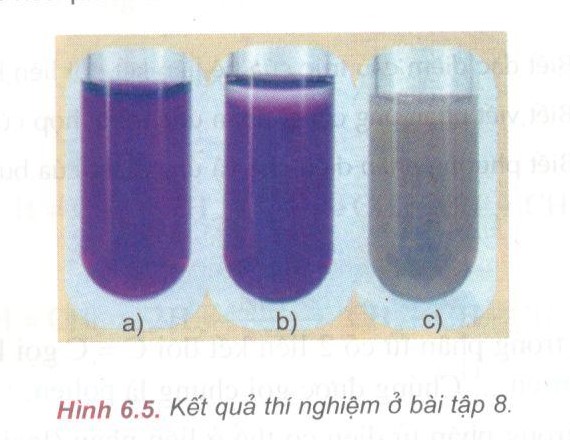 Câu 8 trang 165 SGK Hóa học 11 Nâng cao