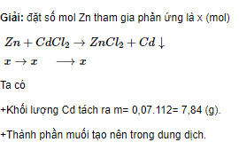 Bài 5 trang 219 SGK hóa học 12 nâng cao  