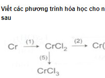 Bài 4 trang 222 SGK hóa học 12 nâng cao  