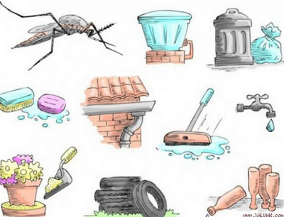 Bọ gậy muỗi vằn thường sống ở đâu ?