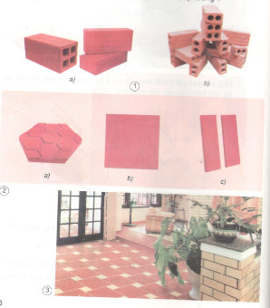 Trong hình 1 và 2, loại gạch nào được dùng để xây tường, loại gạch nào để lát sàn nhà ; lát sân hoặc vỉa hè ốp tường ?
