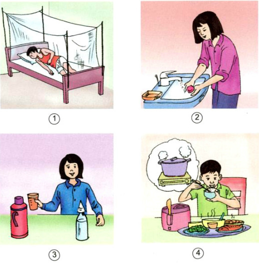 Thực hiện theo mỗi hình dưới đây, bạn có thể phòng tránh được bệnh gì trong các bệnh sau : sốt xuất huyết, sốt rét. viêm não, viêm gan A ?