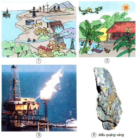 Kể tên một số tài nguyên mà bạn biết. Trong các tài nguyên đó, tài nguyên nào được thể hiện trong những hình dưới đây ?