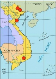 Em hãy nhận xét về địa bàn sinh sống của Người tối cổ ở Việt Nam