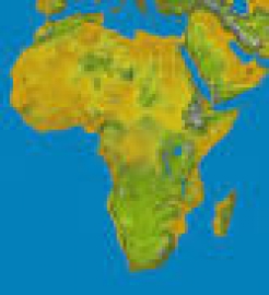 Hãy trình bày những nét lớn của lịch sử châu Phi thế kỉ XIX — đẩu thế kỉ XX