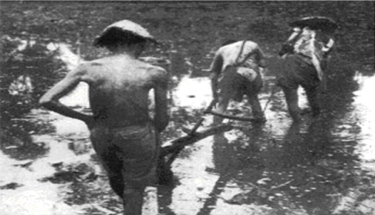 Quan sát hình 3, em hãy nêu nhận xét về tình cảnh người nông dân Việt Nam cuối thế kỉ XIX- đầu thế kỉ XX.