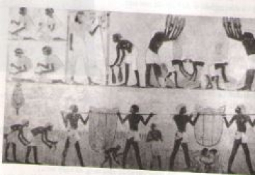 Em hãy miêu tả cảnh làm ruộng của người Ai Cập qua hình 8.