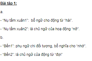 Soạn bài Đặc điểm loại hình của Tiếng Việt - Ngắn gọn nhất