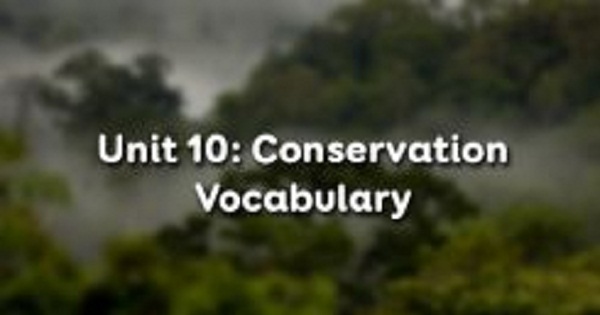 Vocabulary - Phần từ vựng - Unit 10 Tiếng Anh 10