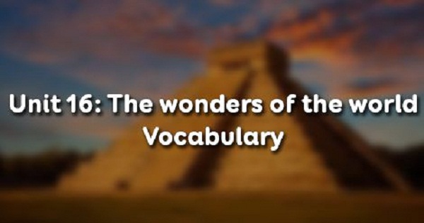 Vocabulary - Phần từ vựng - Unit 16 Tiếng Anh 11
