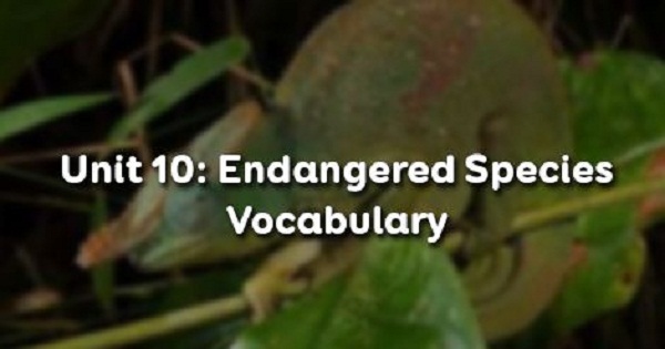 Vocabulary - Phần từ vựng - Unit 10 Tiếng Anh 12