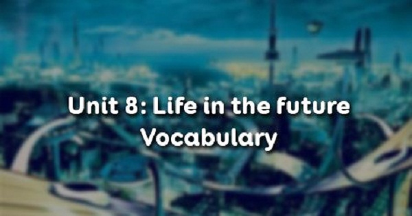 Vocabulary - Phần từ vựng - Unit 8 Tiếng Anh 12