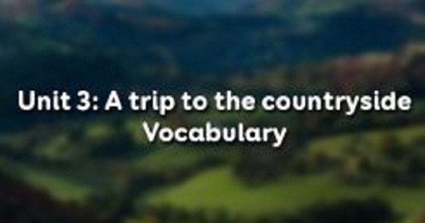 Vocabulary - Phần từ vựng - Unit 3 Tiếng Anh 9