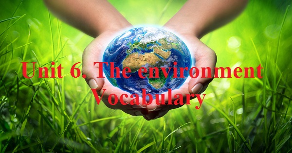Vocabulary - Phần từ vựng - Unit 6 Tiếng Anh 9
