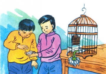 Soạn bài Chim sơn ca và bông cúc trắng trang 23 SGK Tiếng Việt 2 tập 2