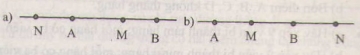 Bài 13 trang 107 - Sách giáo khoa toán 6 tập 1