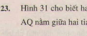 Bài 23 trang 83 - Sách giáo khoa toán 6 tập 2