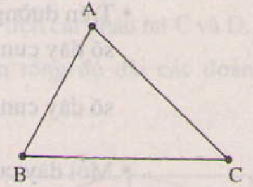 Lý thuyết. Tam giác