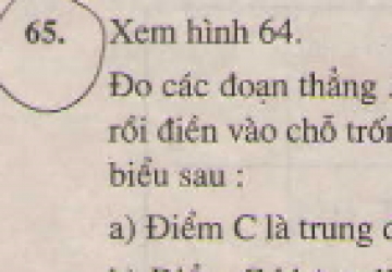Bài 65 trang 126 - Sách giáo khoa toán 6 tập 1